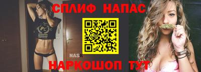 прущие грибы Краснодар