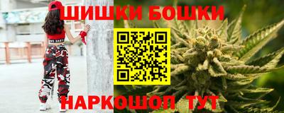 прущие грибы Краснодар
