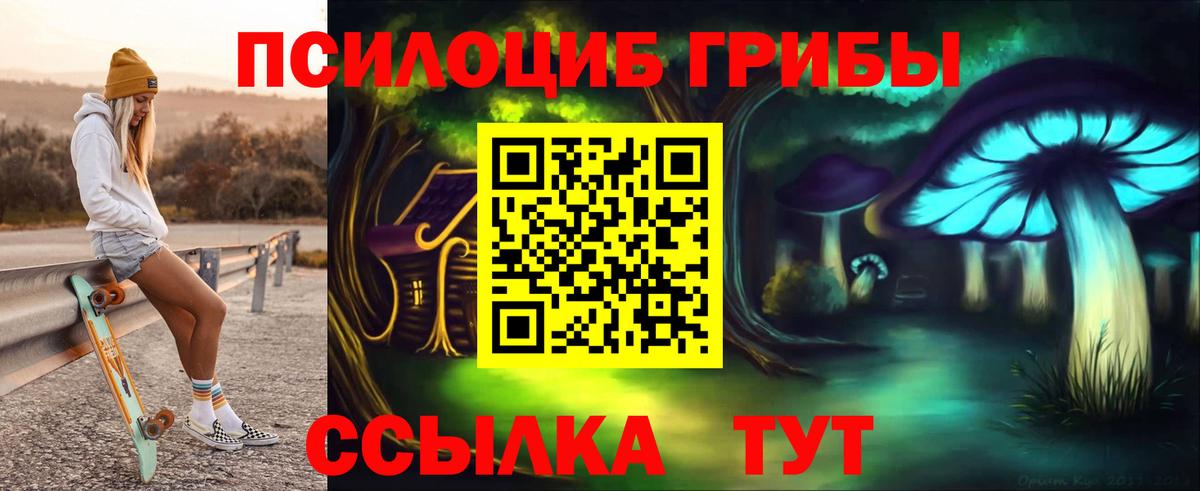 Галлюциногенные грибы Cubensis  Вход с VPN  Кизилюрт 